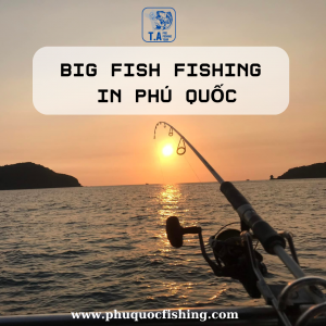 Big Fish Fishing in Phú Quốc