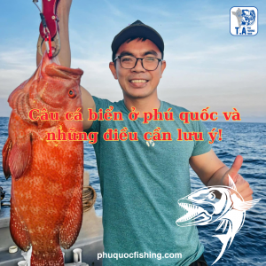 Câu cá biển ở phú quốc và những điều cần lưu ý!