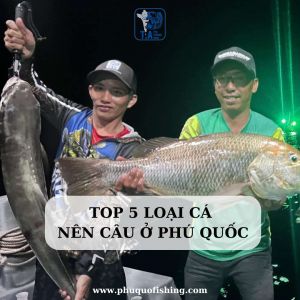 Top 5 loại cá nên câu ở Phú Quốc