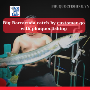 Big Barracuda catch by customer go with phuquocfishing