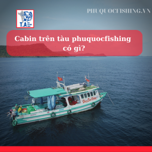Cabin trên tàu phuquocfishing có gì?