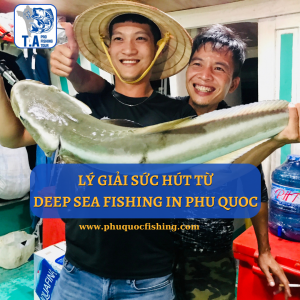 LÝ GIẢI SỨC HÚT TỪ DEEP SEA FISHING IN PHU QUOC
