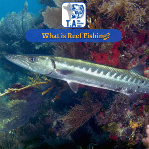 What is Reef Fishing?