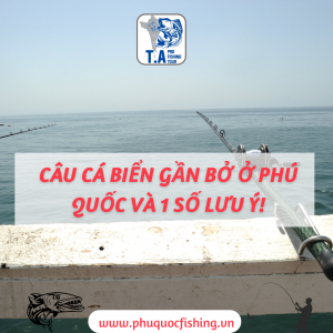Một số lưu ý khi câu cá biển gần bờ ở phú quốc, làm mồi, cách câu
