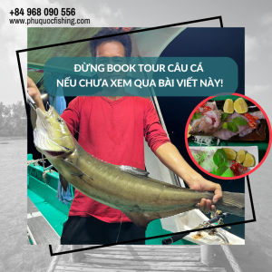Đừng book tour câu cá nếu chưa xem qua bài viết này!