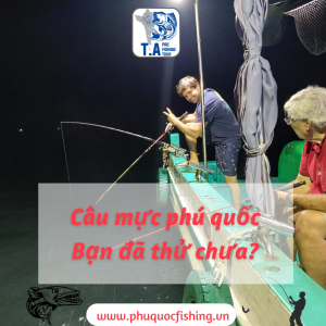 Câu mực phú quốc - bạn đã thử chưa?